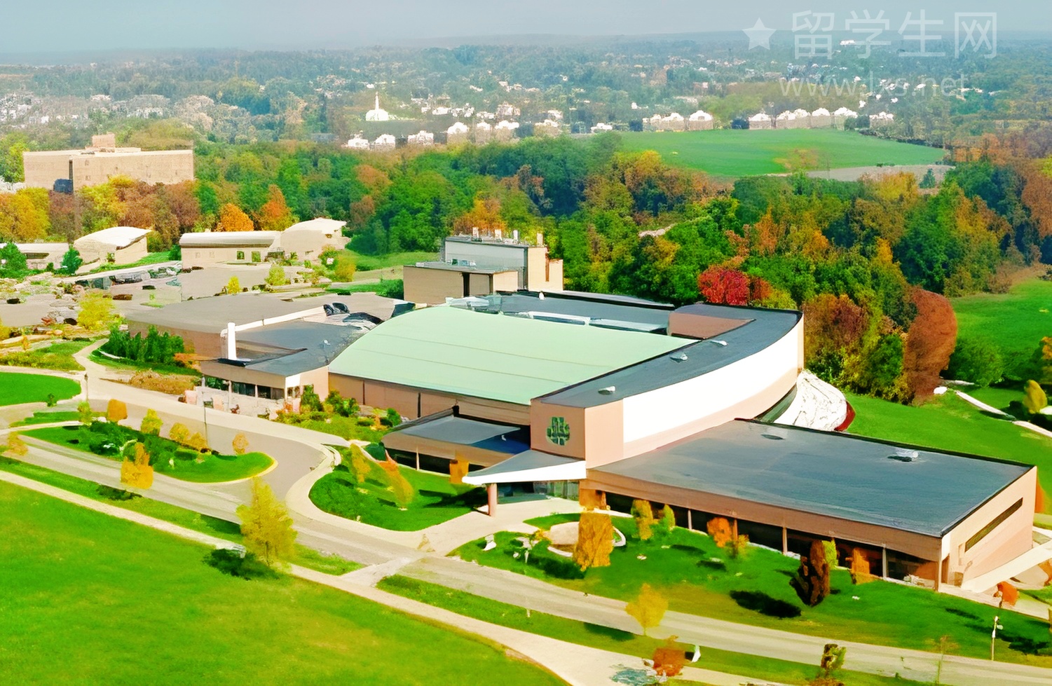 解锁新西兰中学：NCEA选课通关秘籍