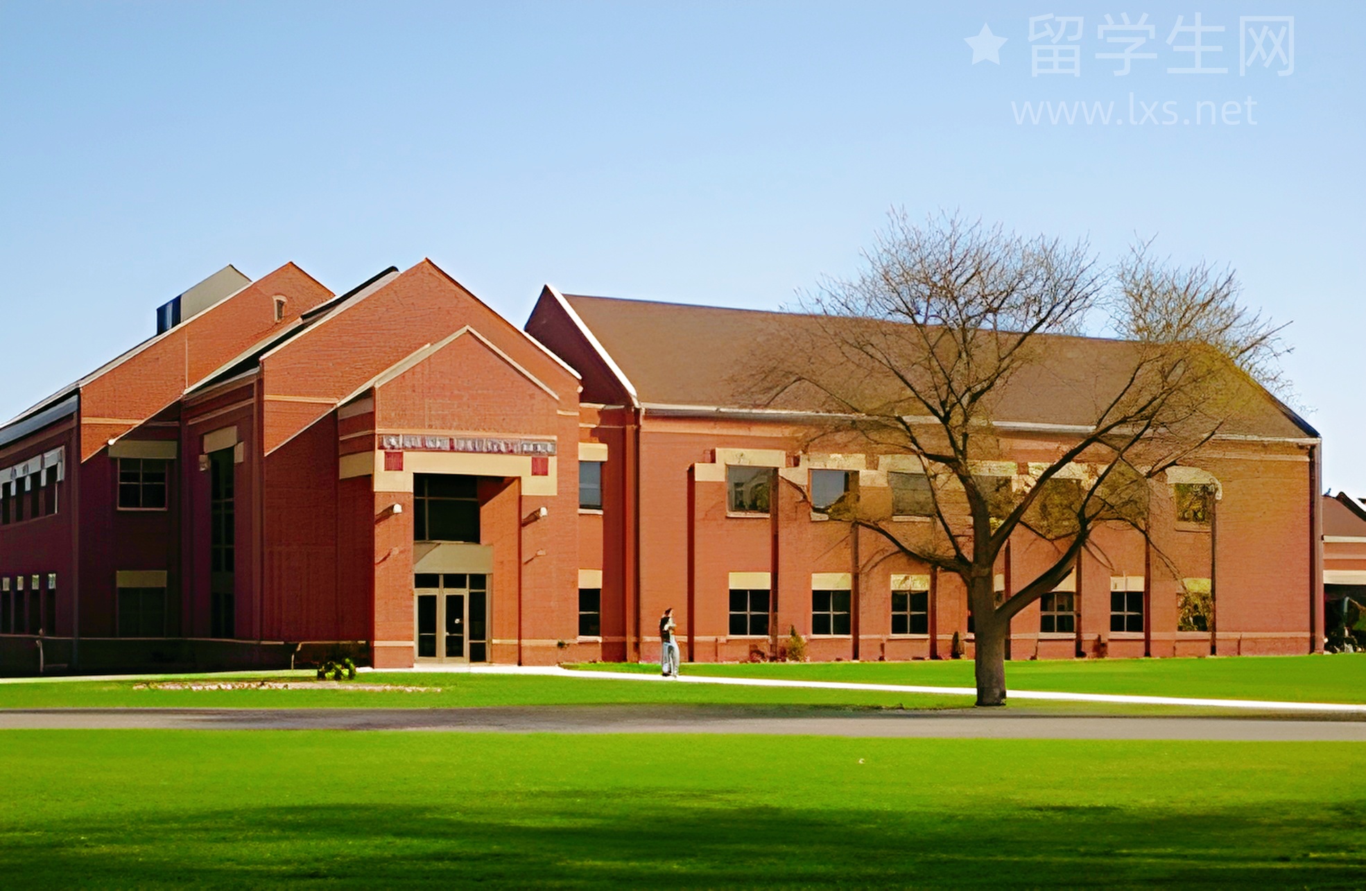 昆州公立小学全解析，留学爸妈必看