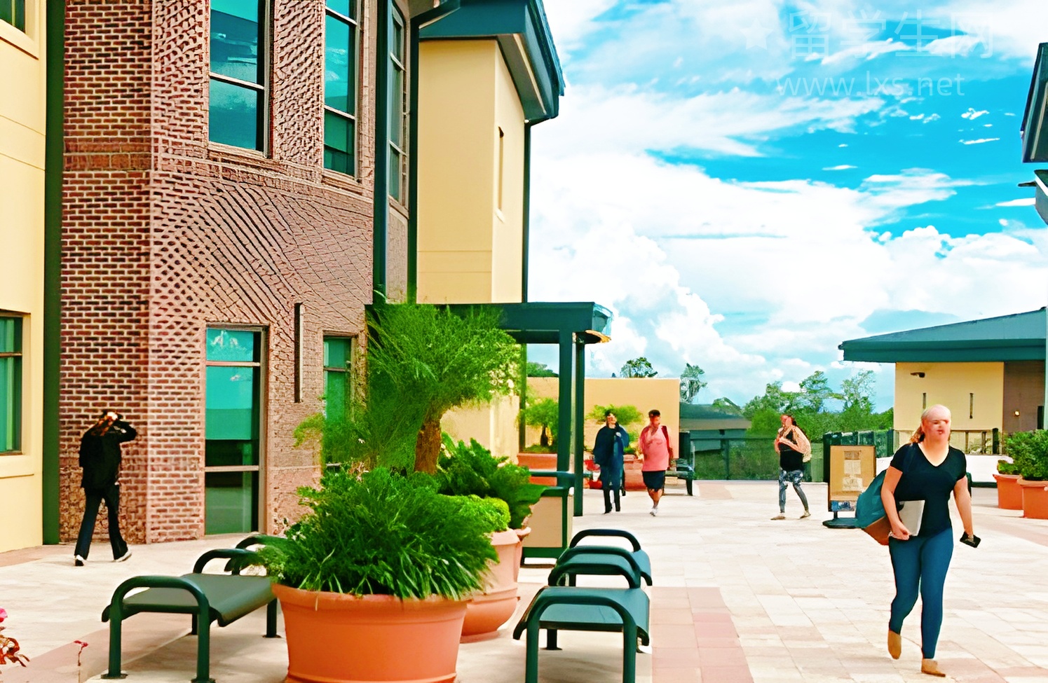 北美雅思，轻松通关的秘诀大公开