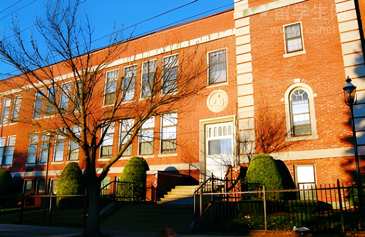 毕业即就业？德国双元制凭什么这么牛