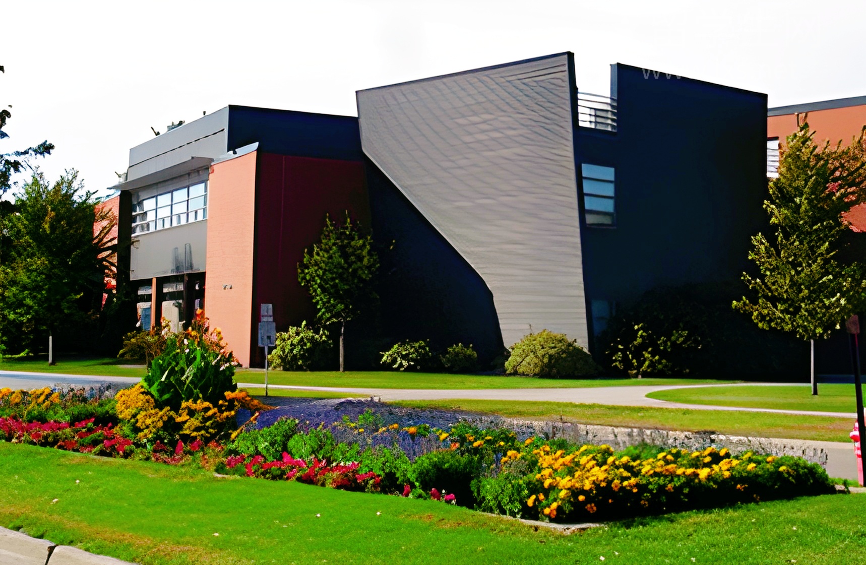 搞定日本永驻，留学生看这篇就够了