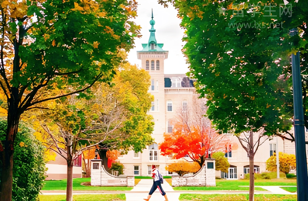 揭秘南宁中加雅思高分背后的故事