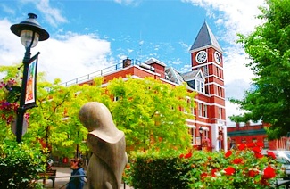 雅思瓶颈期？全封闭班带你冲分！