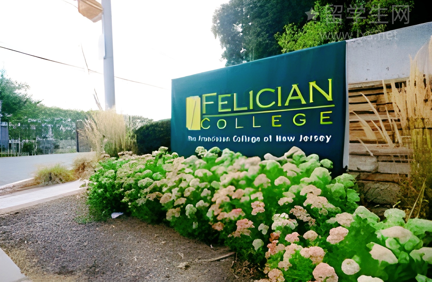 包头烤鸭逆袭指南，雅思7分不是梦