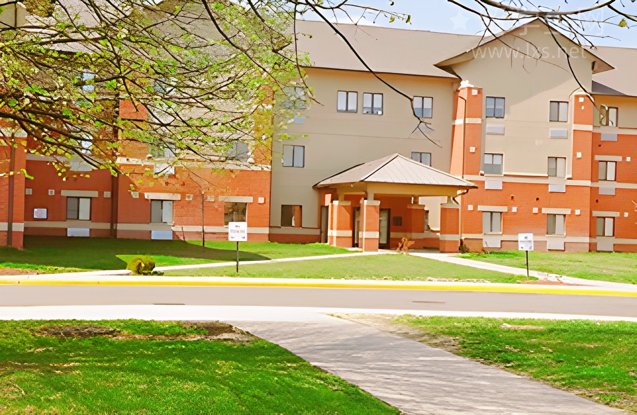 考场大脑空白？雅思口语忘词自救指南