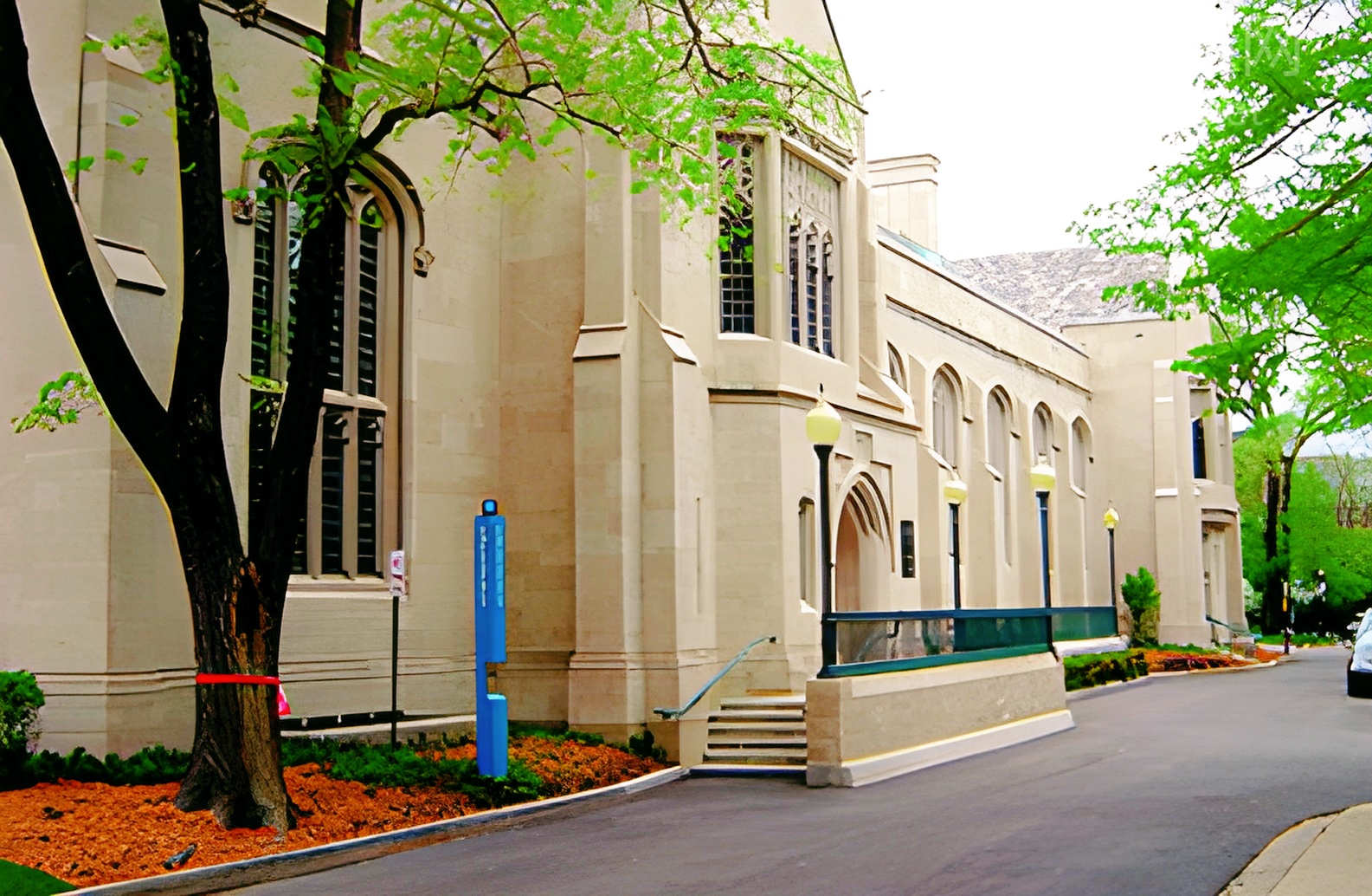 雅思首战5分，我踩了哪些坑？