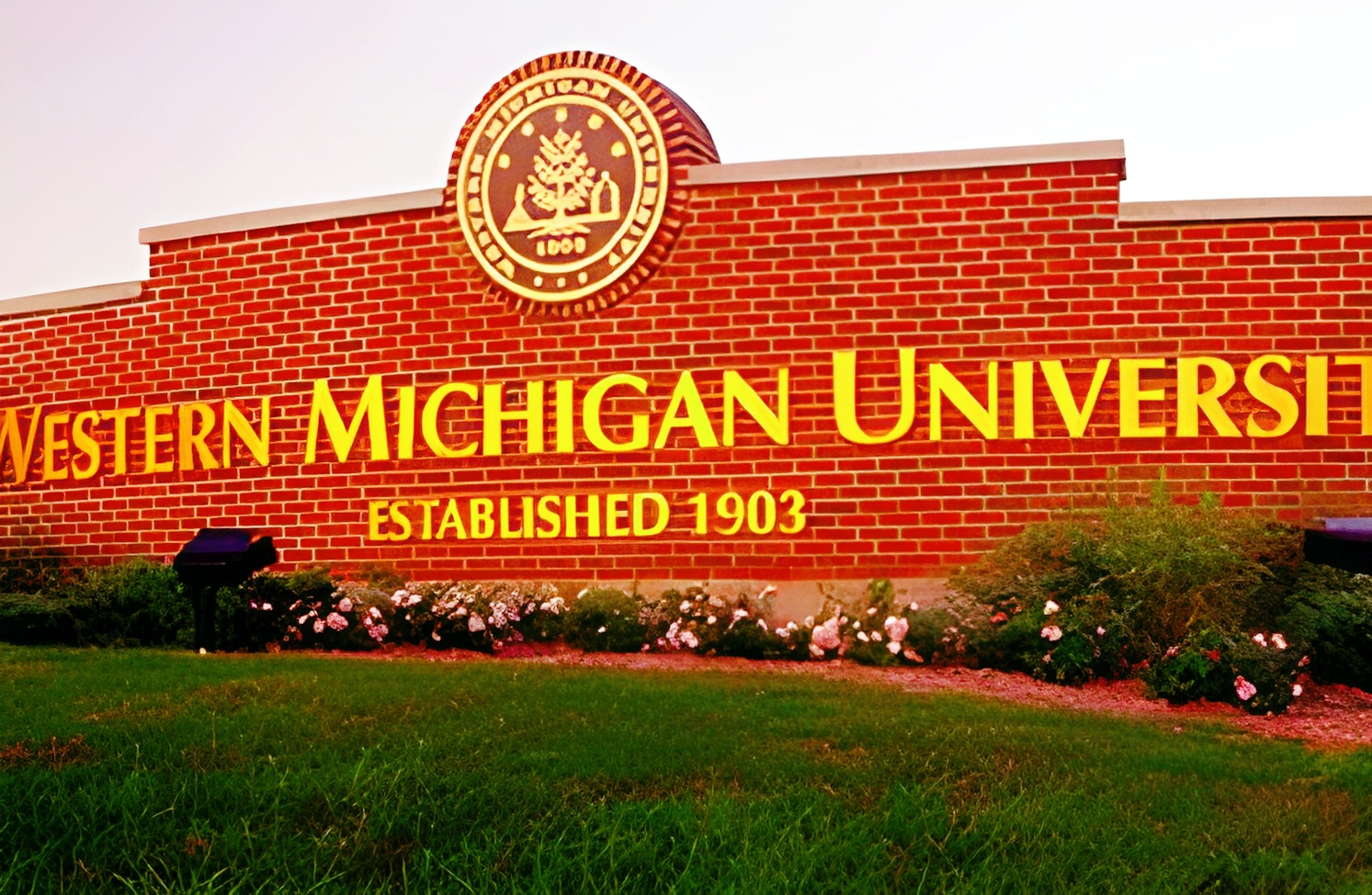 雅思账号密码忘了？一招教你极速找回