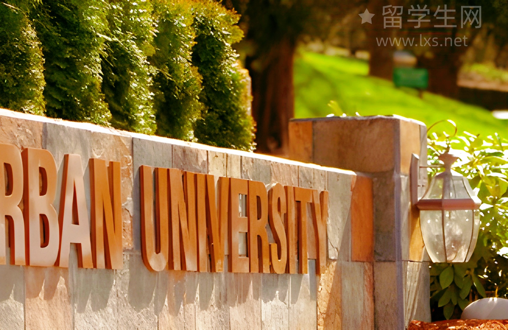 申英作品集新规：不会AI就没学上了？