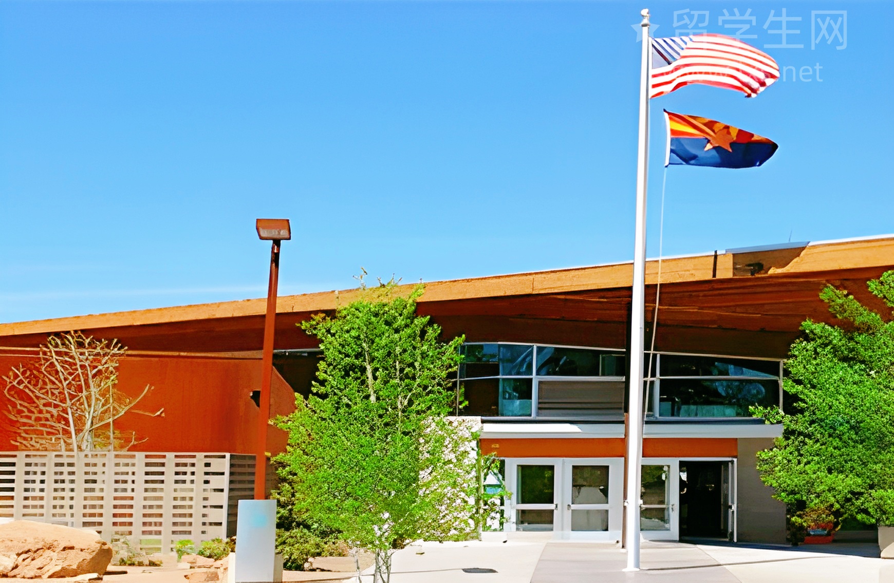 雅思托福怎么选？看这篇就够了！