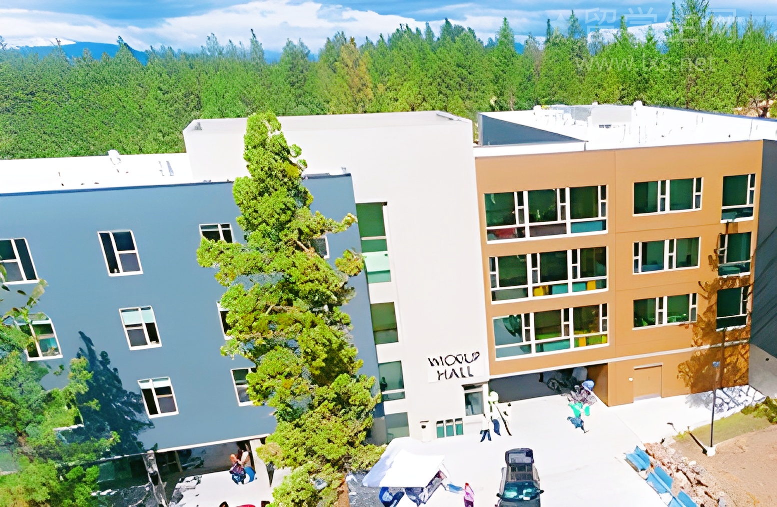 留学但尼丁，我竟误入了霍格沃茨？