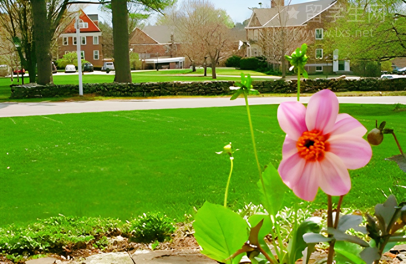 雅思作文黄金结构，轻松拿高分