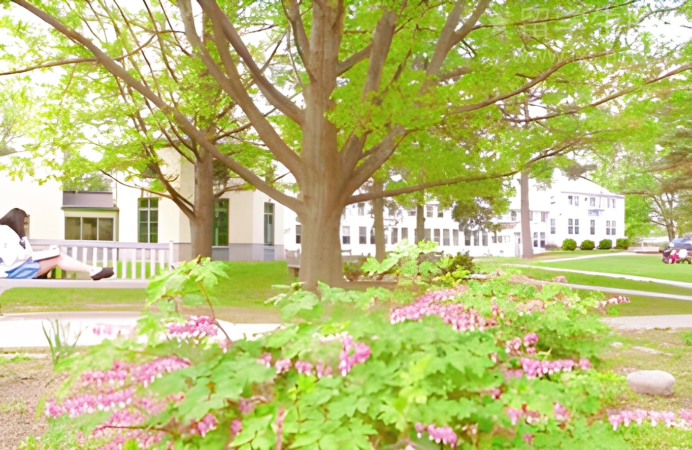 法国留学天花板？解锁顶尖商学院