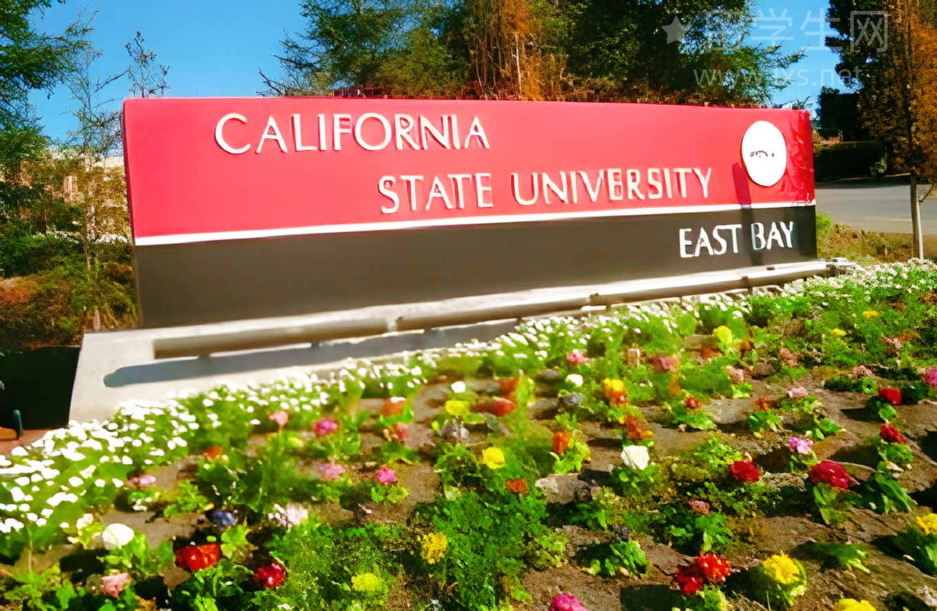 毕业留澳，规划PR看这篇就够