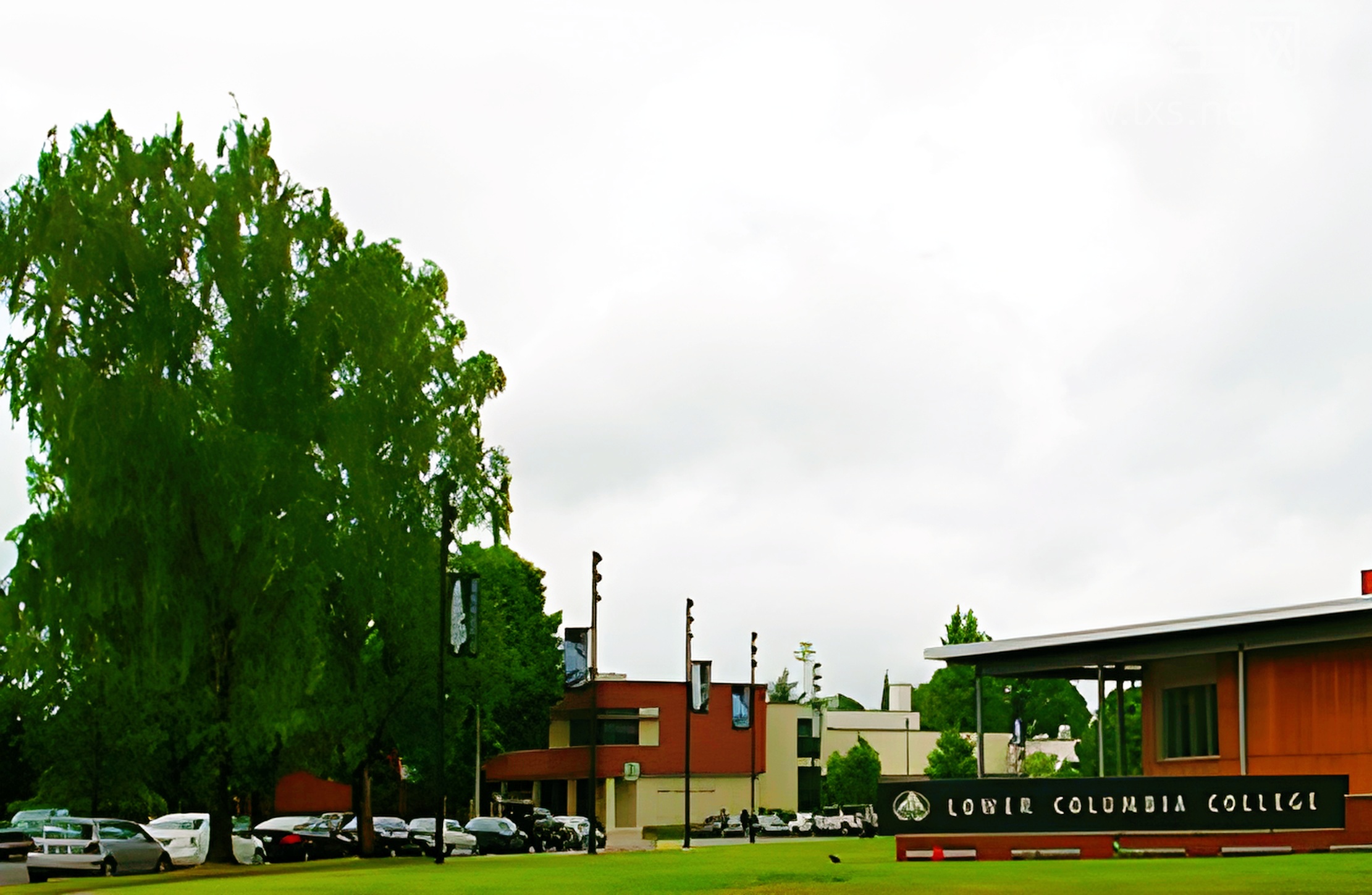 何钢雅思高分秘籍，轻松解锁7分+