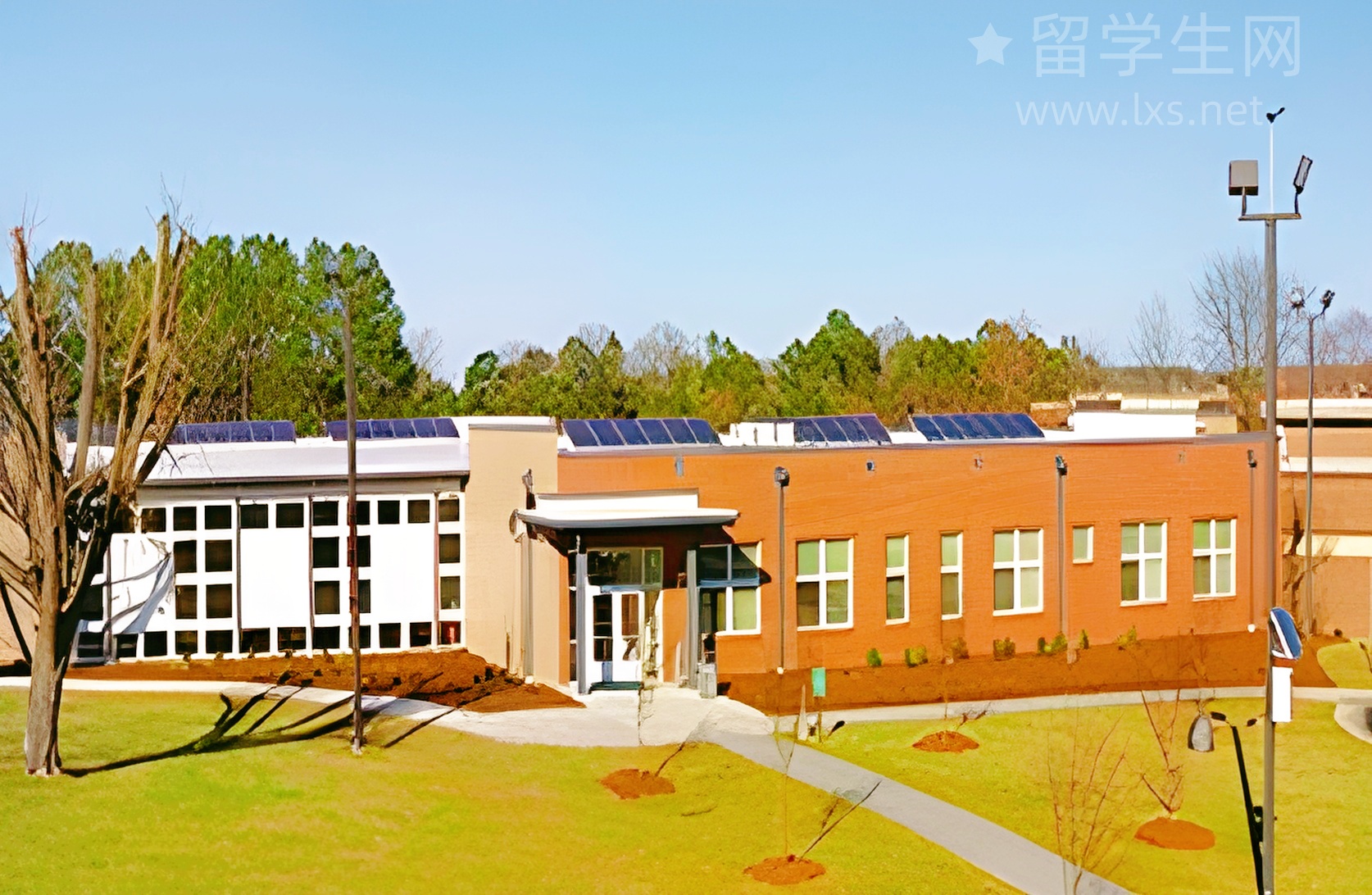 在梨花女大读牙科，是种什么样的体验