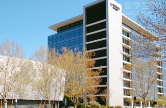 两个月雅思逆袭，亲测有效保姆级指南