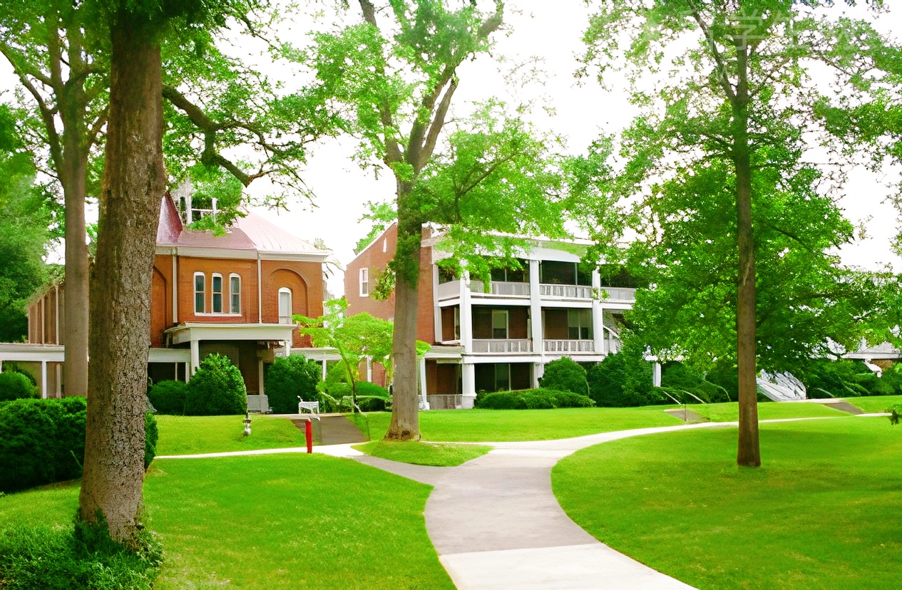 留学新加坡：雅思vs托福，一篇讲清楚