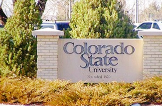 考研不是独木桥，留学带你弯道超车