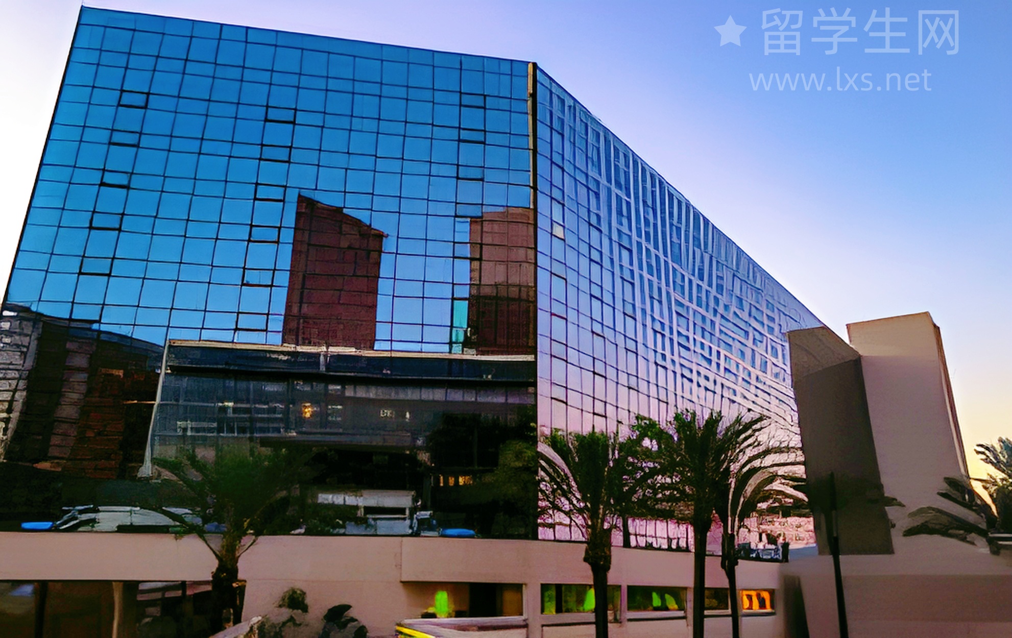 本科双非，照样拿下港三Offer