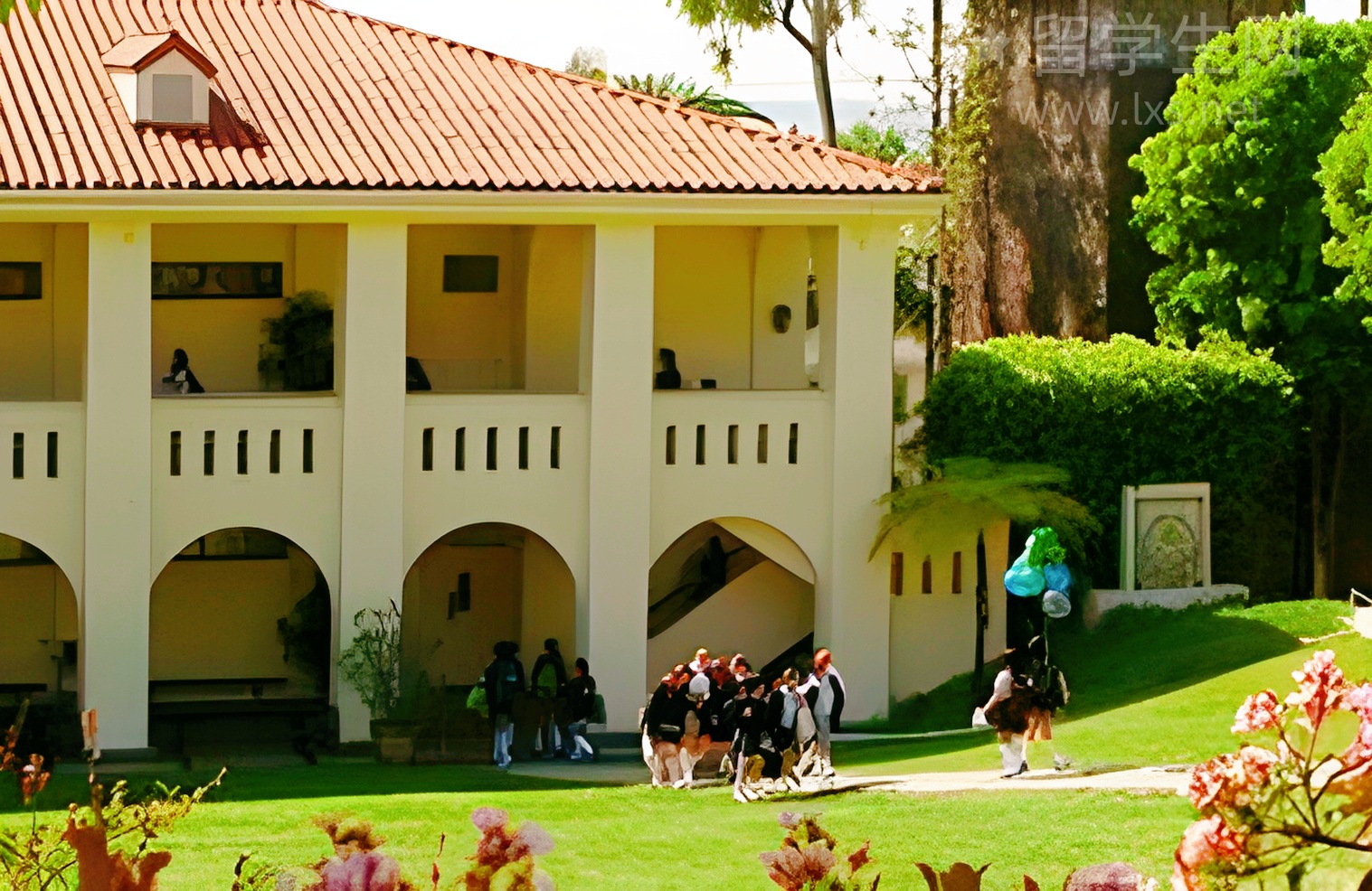 DSE，助你弯道超车直通世界名校