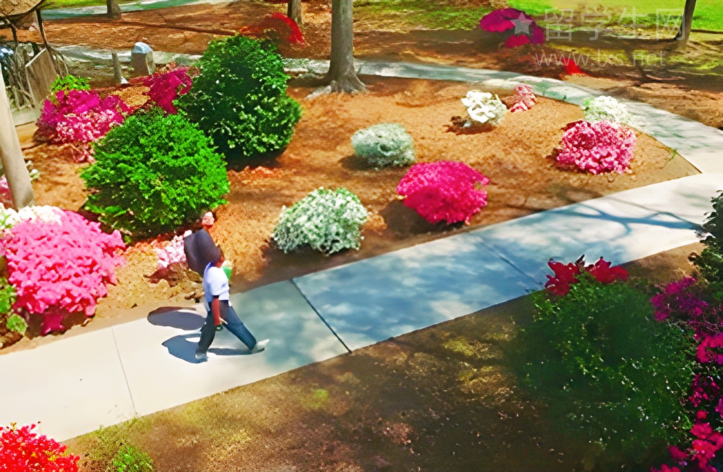 日本本科申请最全攻略，一篇讲透