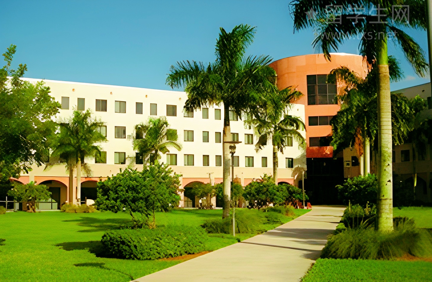 想去韩国读动漫研究生？看完这篇再决定