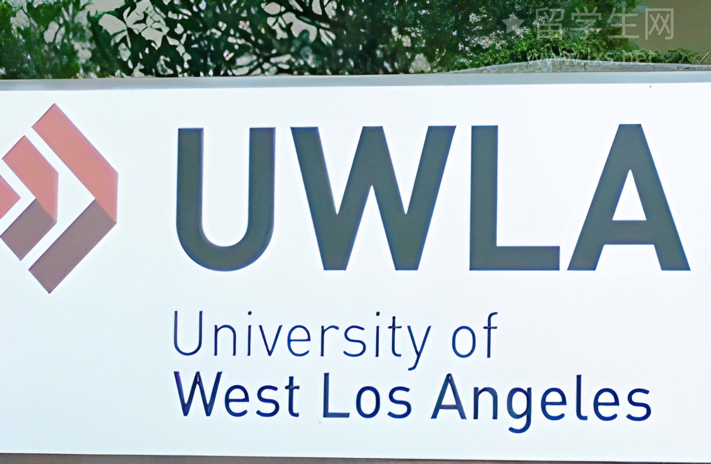 曼大本科申请全攻略：要求+费用大揭秘