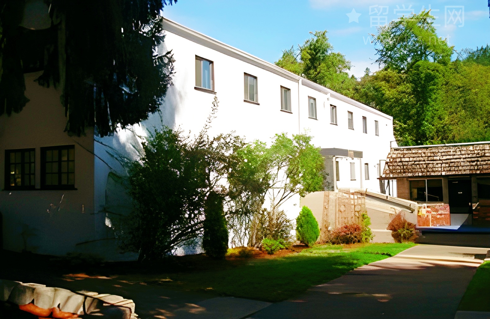 幼儿也要考雅思？解锁英语启蒙密码