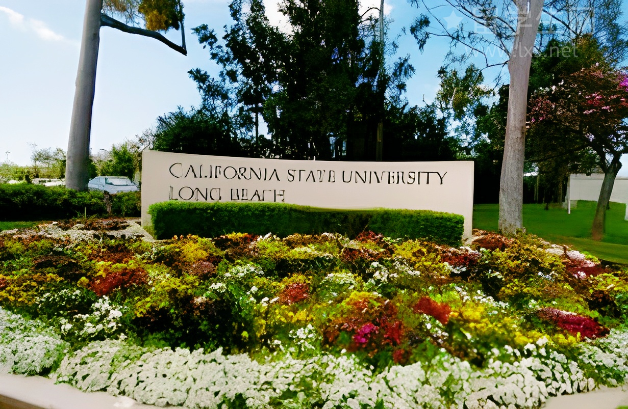 商丘雅思提分攻略，助你轻松屠鸭！