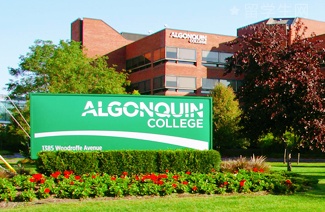 美国留学避坑指南，全是血泪干货