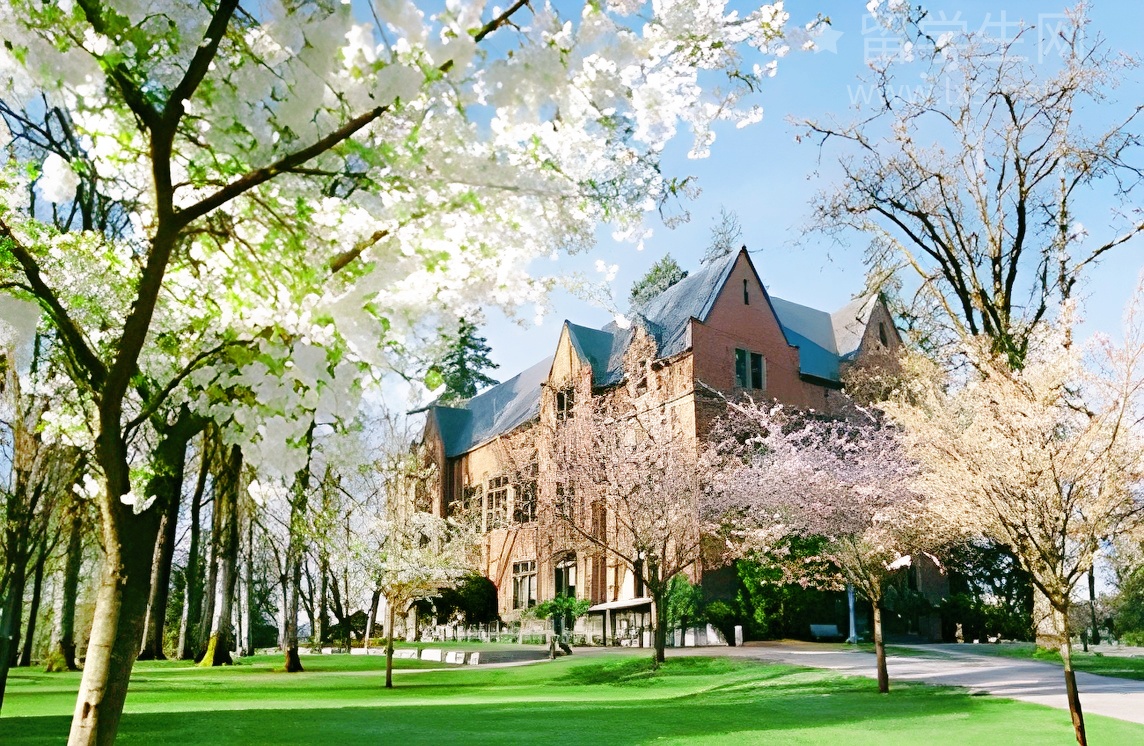 选对雅思口语培训机构，开口就是7分！