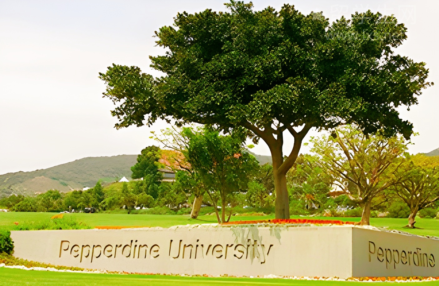 雅思听力入门，从零基础到一听就懂