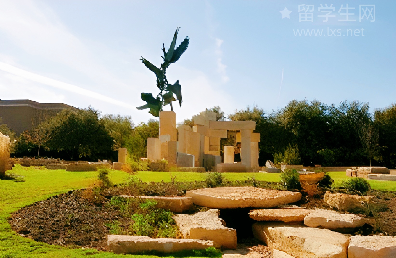 告别内卷，我在新西兰留学找到了自己