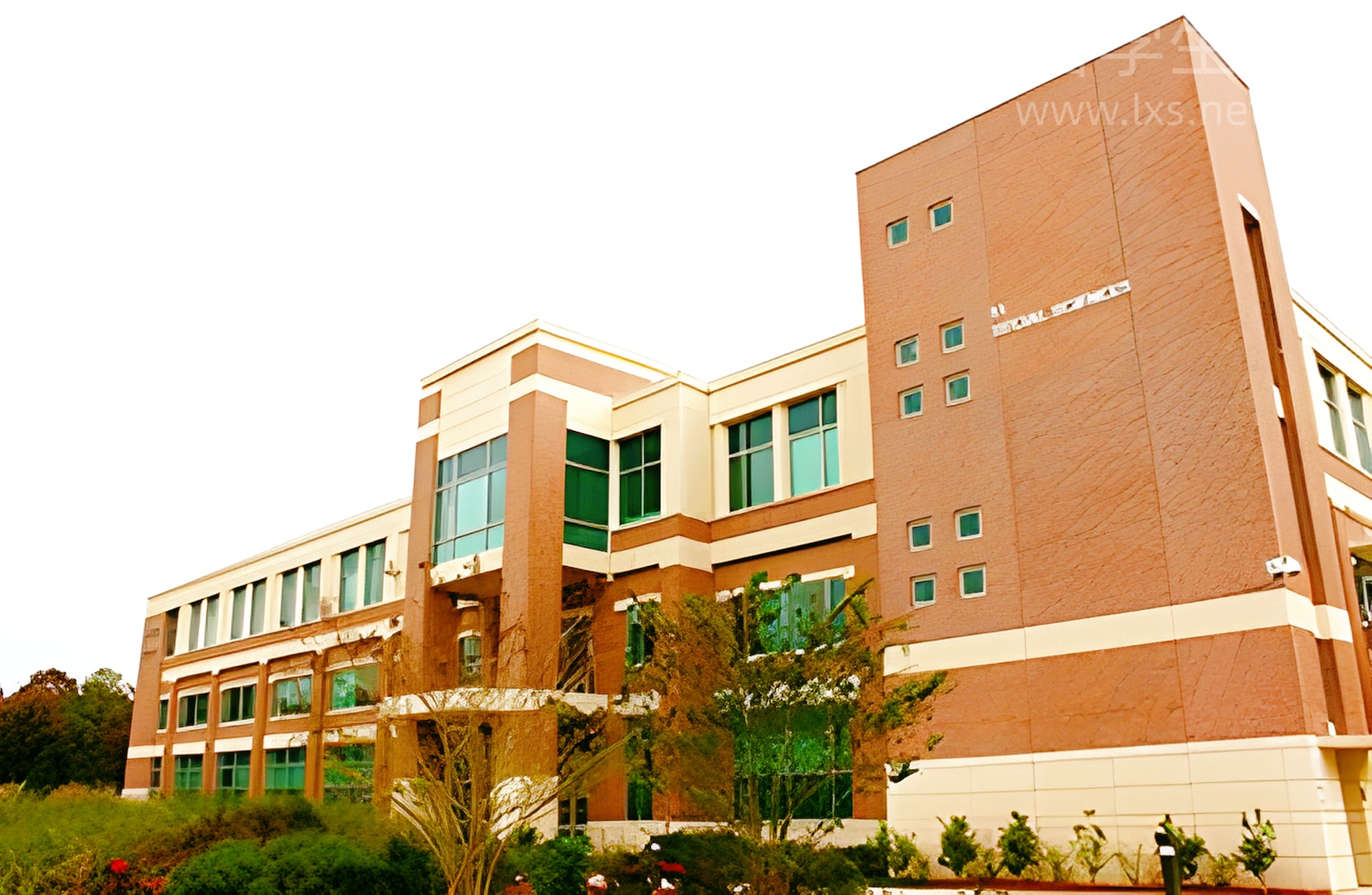 攻克雅思bovids，这份高分答案你必须看