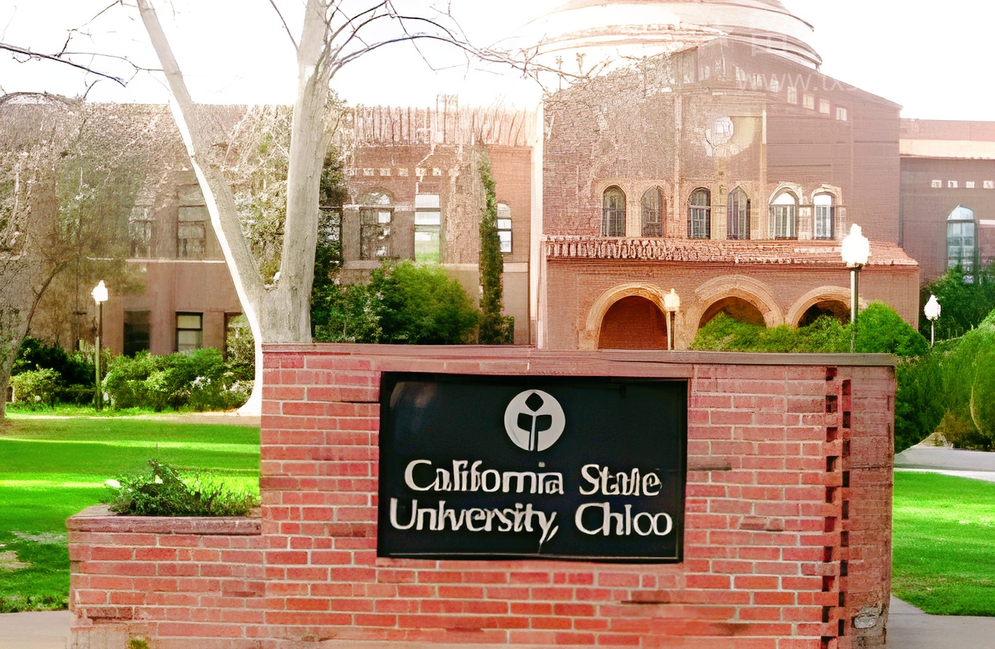 告别万年5.5，雅思稳上每项6分