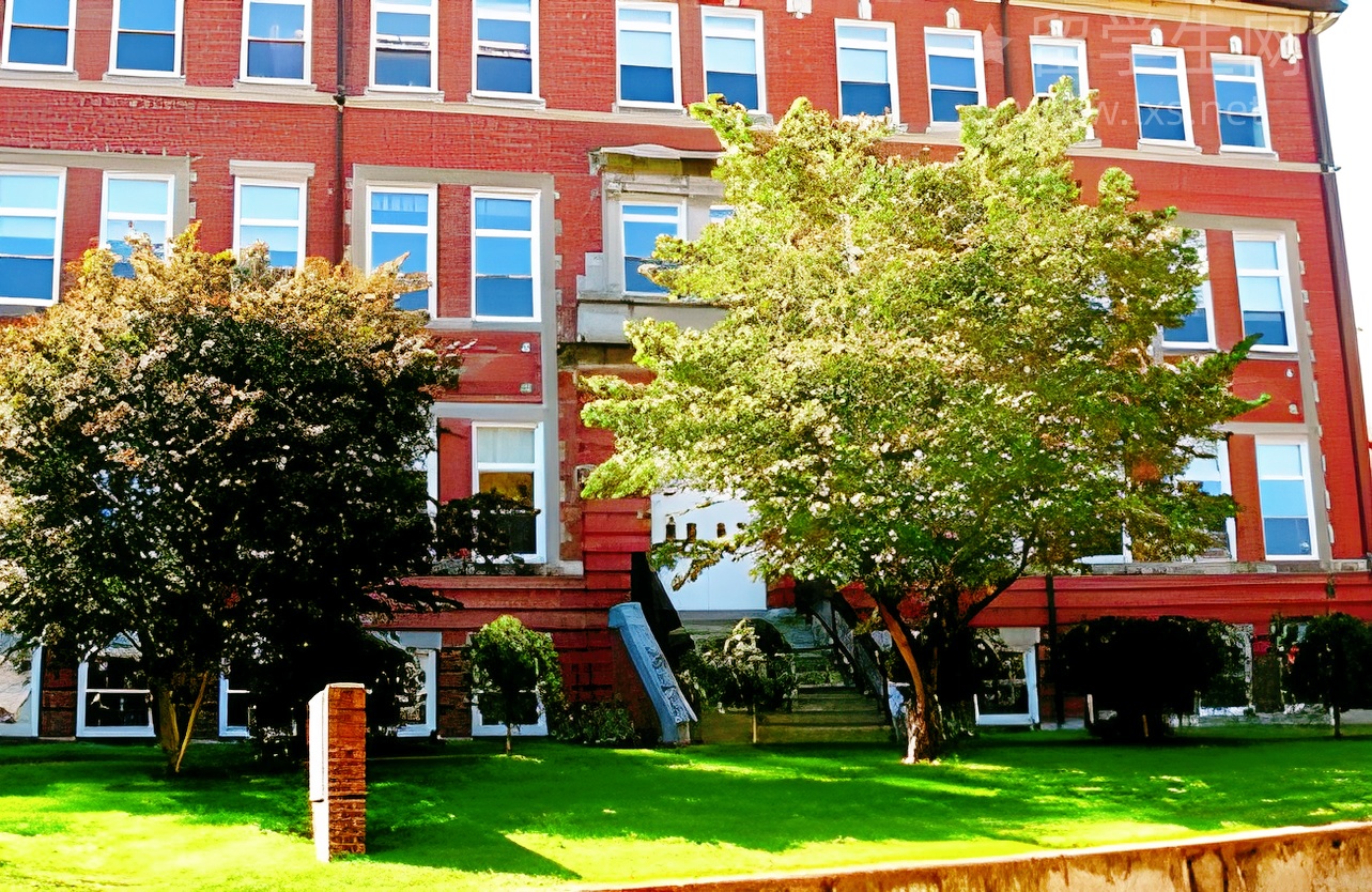 毕业留新超全攻略，一篇搞定工签