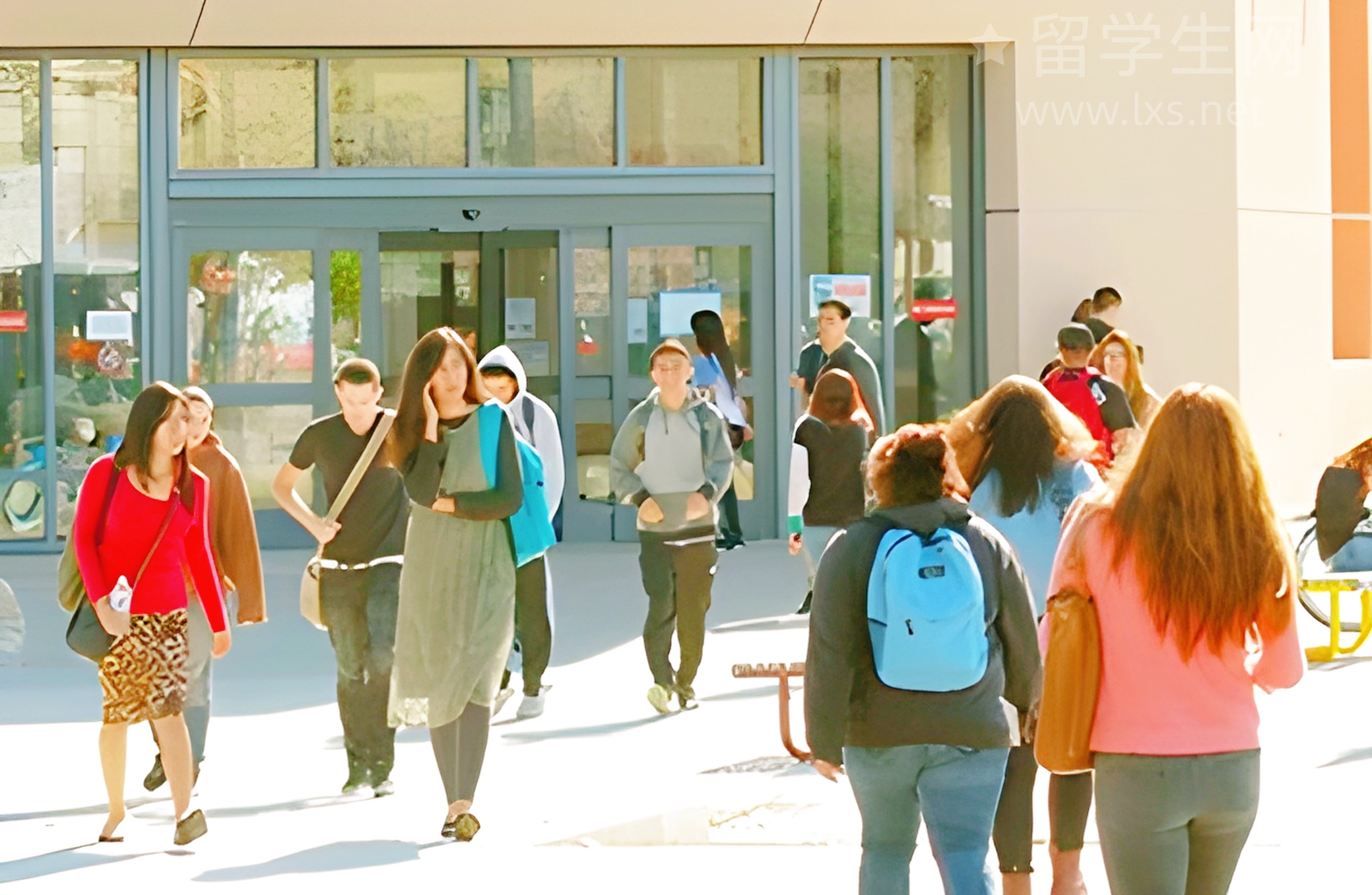 放弃高考去留学，我到底错过了什么？