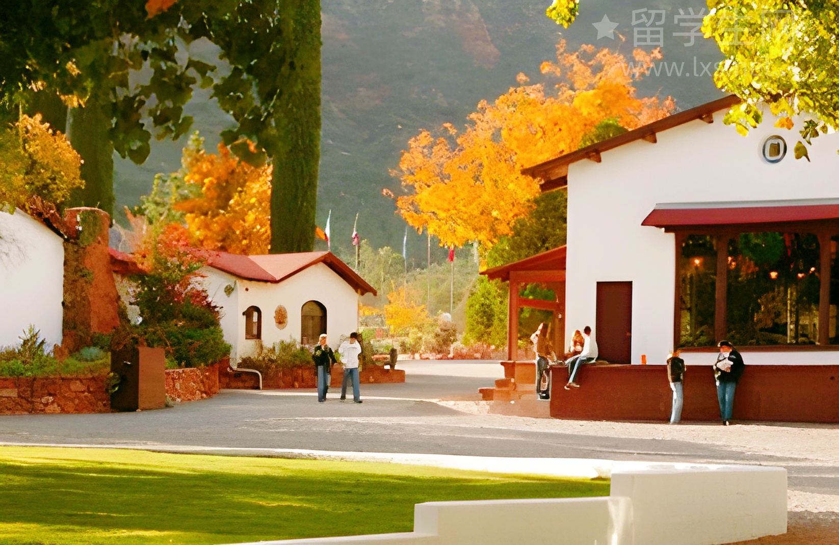 阿德莱德1.5年硕士：让你光速上岸！