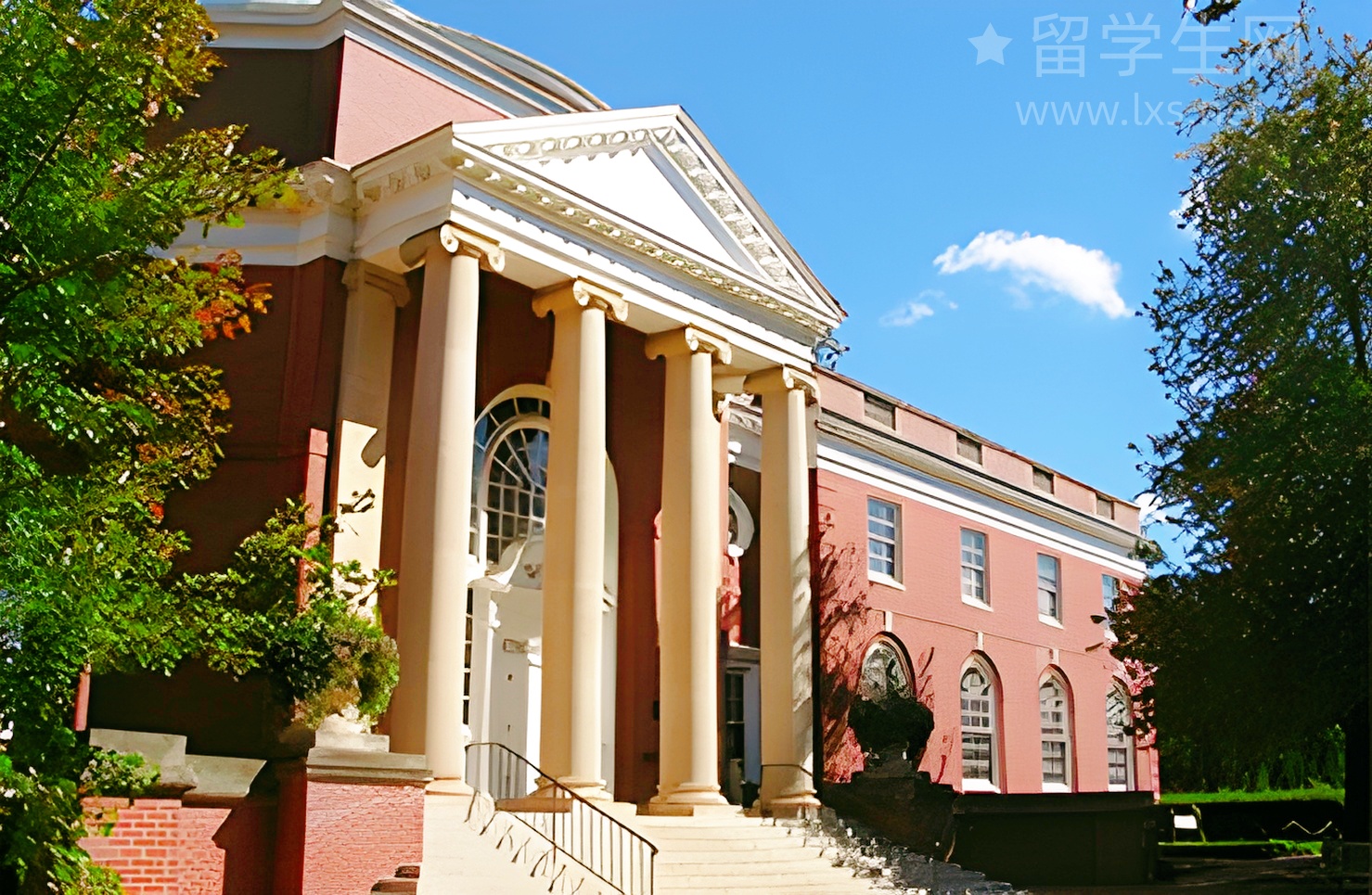 留学新西兰弯道超车：本科毕业当牙医