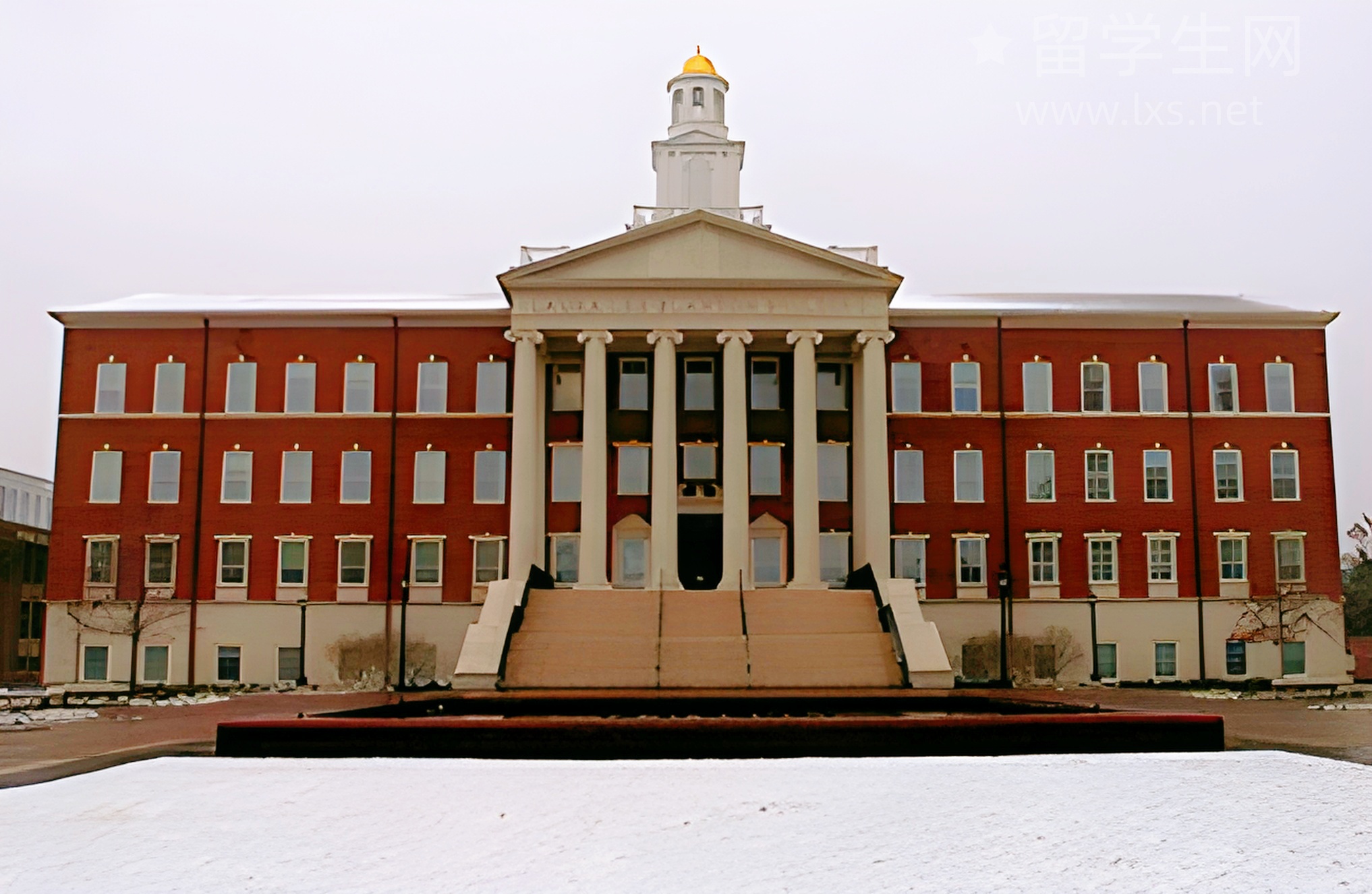 拿下港大Offer，全靠这个宝藏专业？