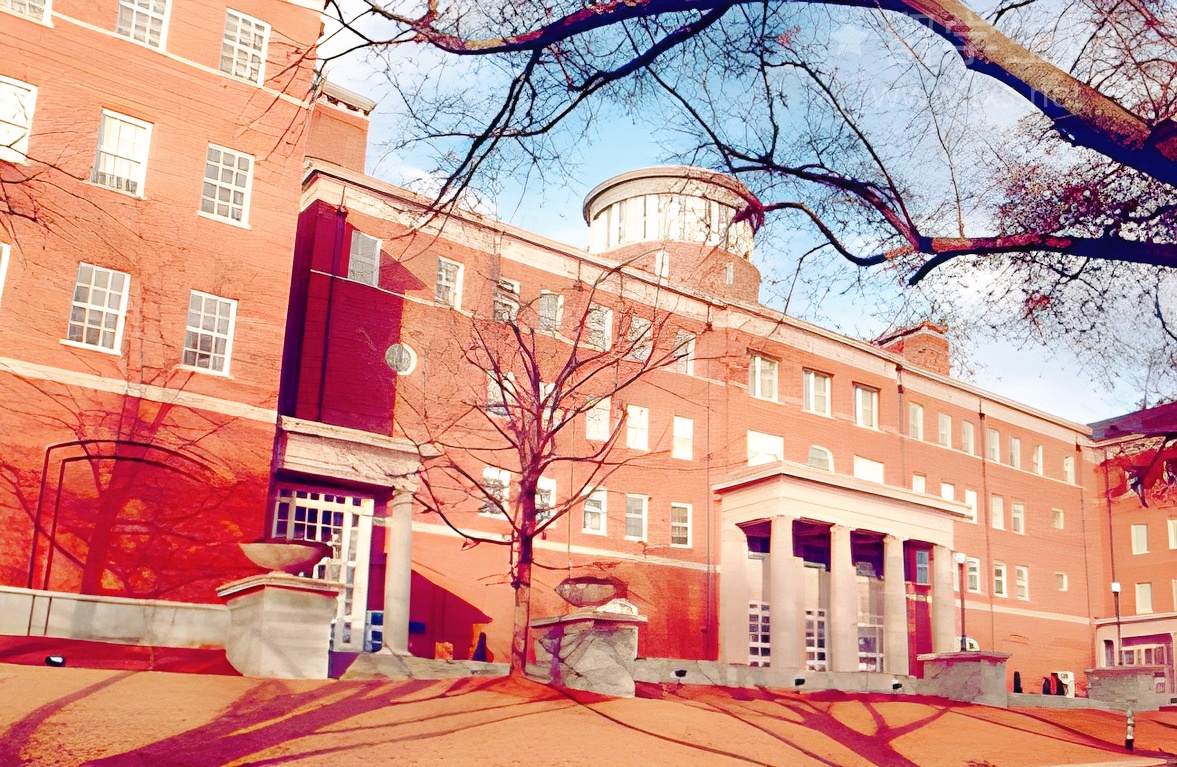 选对雅思网校，备考效率翻倍