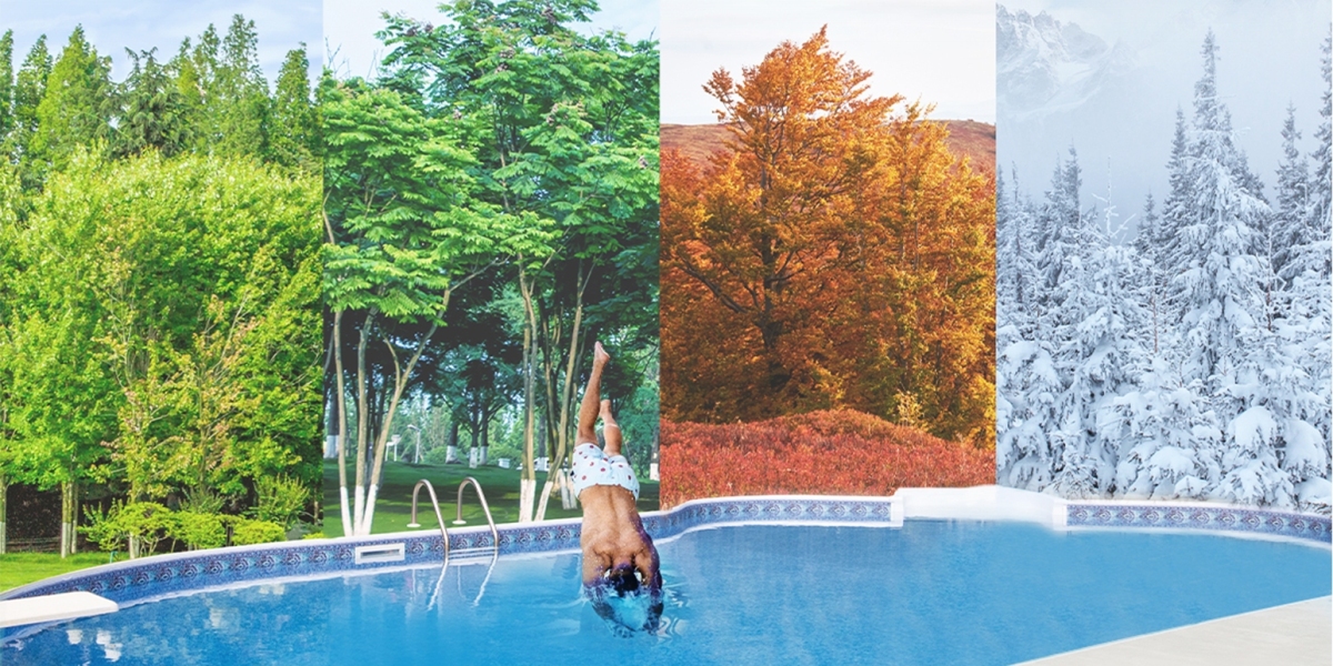 10 Common Questions About Inverter Pool Heat Pump Answered