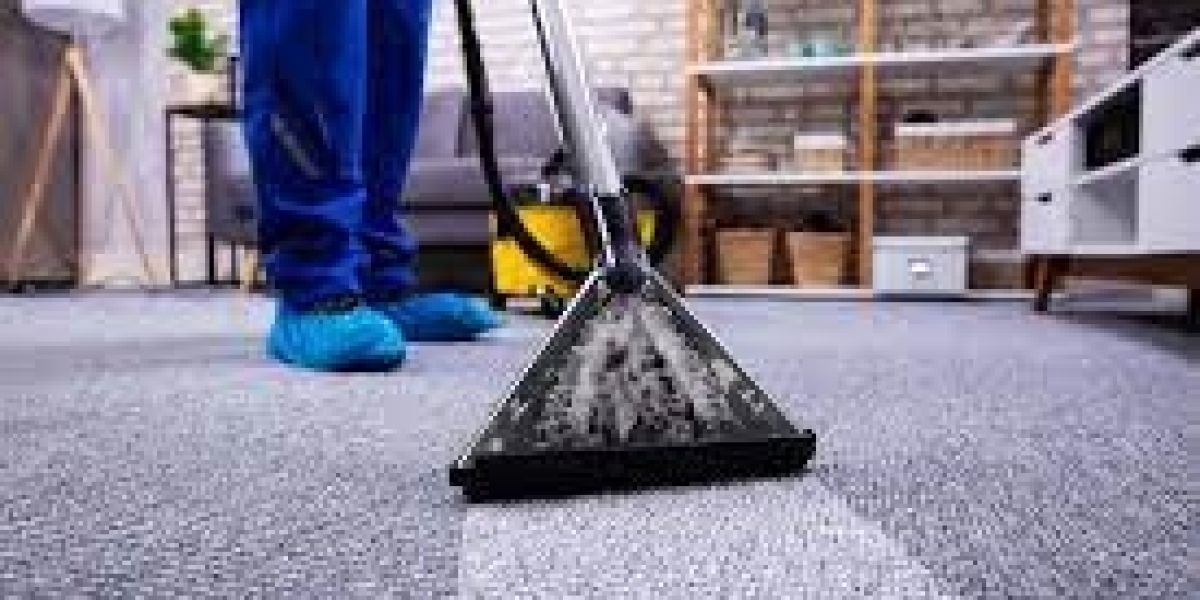 How Carpet Cleaning Services Shield Against Germs