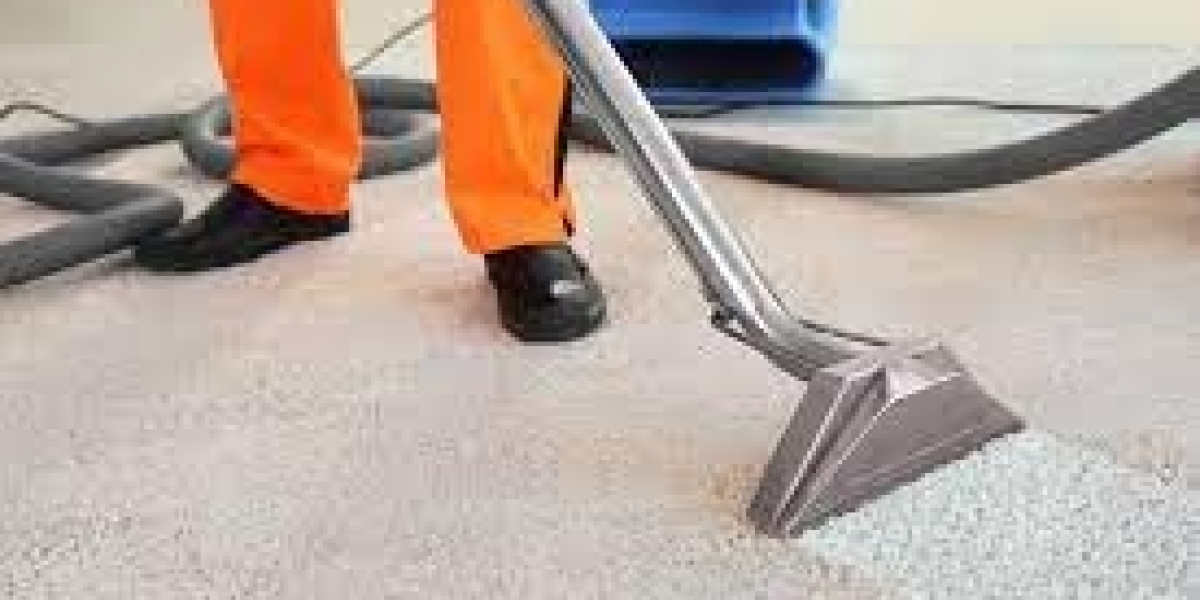 The Crucial Role of Carpet Cleaners in Germ Control