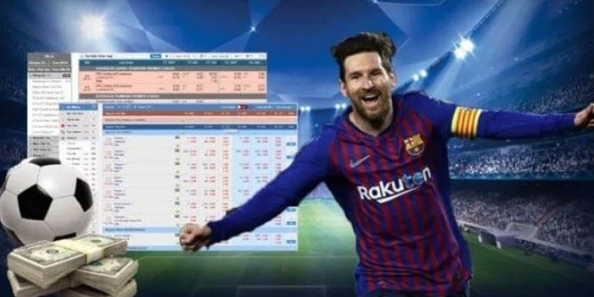 Experience in Choosing Accurate Euro Betting Odds