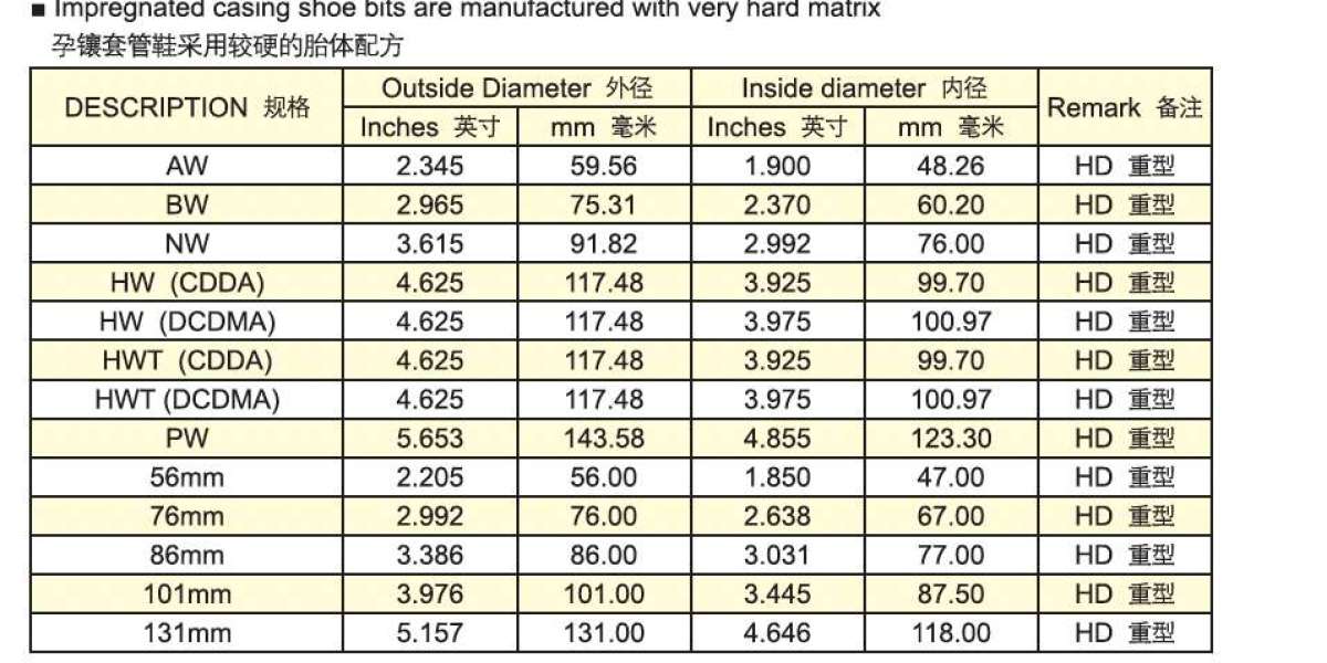 Casing & Rod Shoes in Drilling: Roles, Selection, and Fit