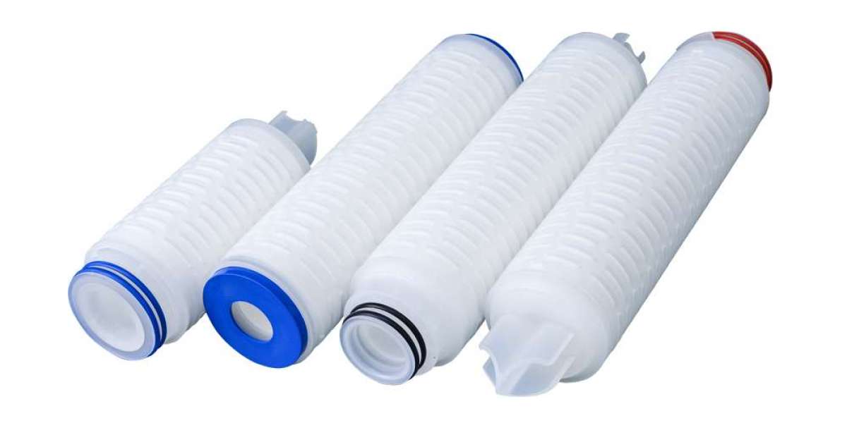 Maximizing Process Integrity with PTFE Membrane Pleated Filter Element