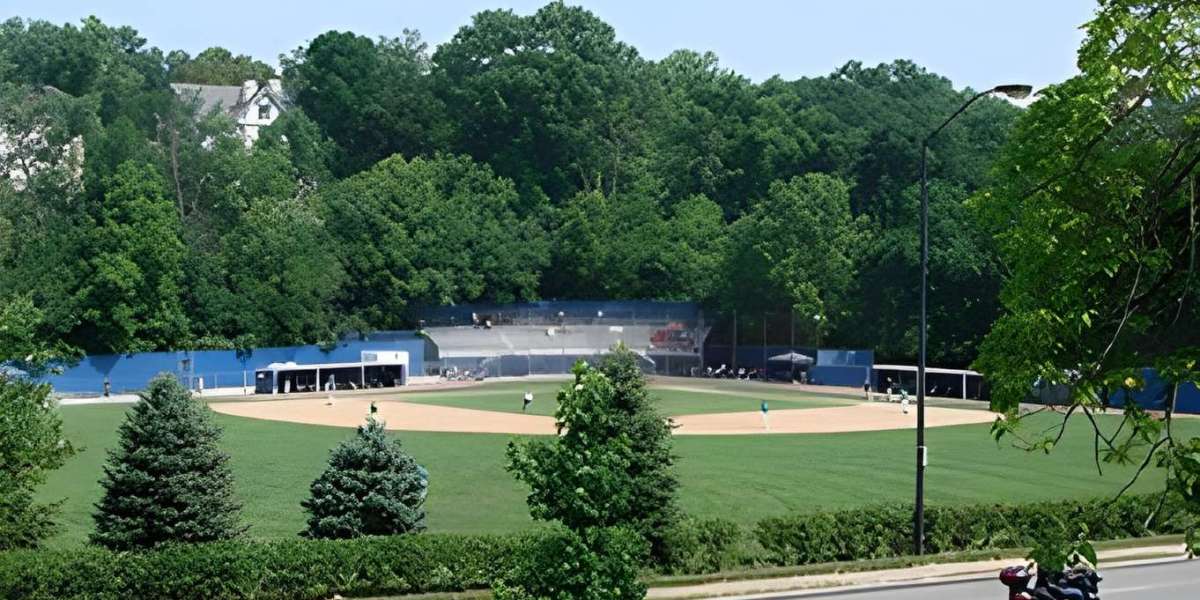 英文SCI文章入门写作技巧