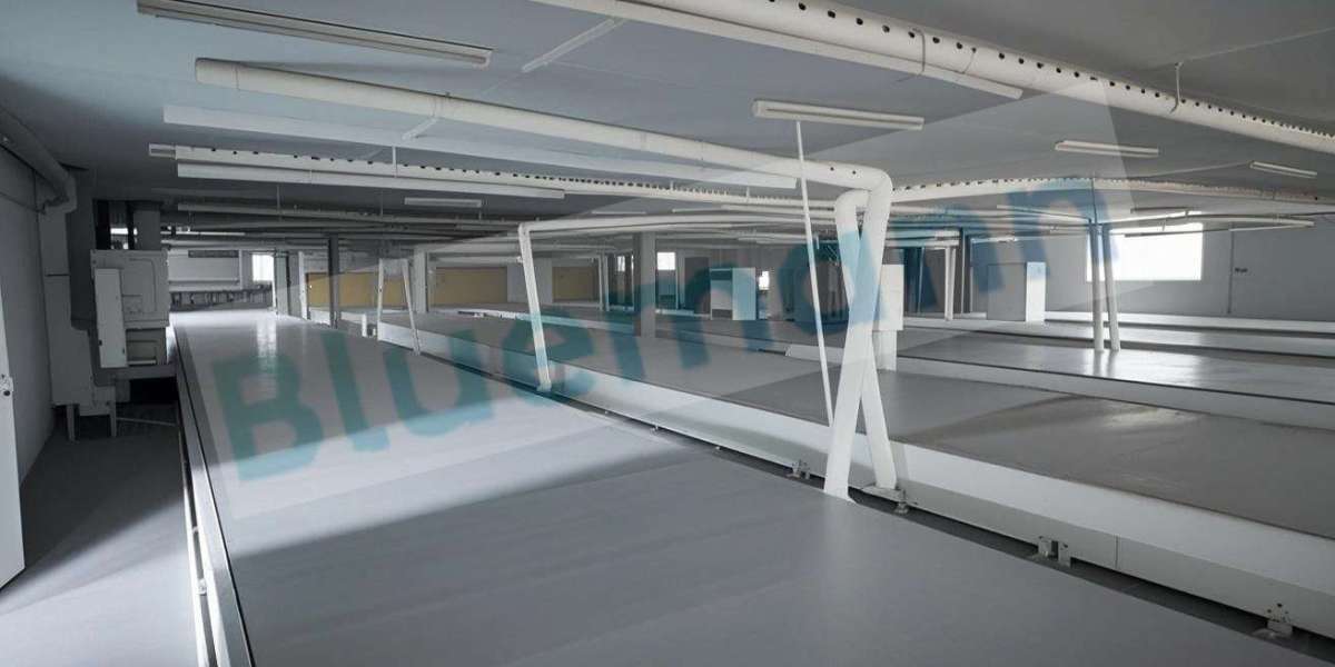 Blumann Curing Line Production Line for Consistent Industrial Curing