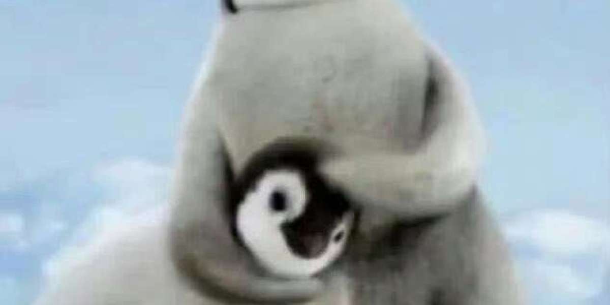 牢A说女留学生三通一达，中的一达是什么意思